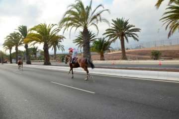 Las carreras de caballos toman la Avenida del Cabildo (TA y Francisco Javier Santana)