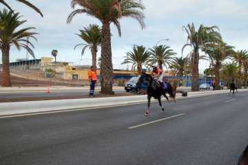 Las carreras de caballos toman la Avenida del Cabildo (TA y Francisco Javier Santana)