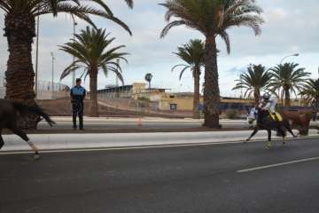 Las carreras de caballos toman la Avenida del Cabildo (TA y Francisco Javier Santana)
