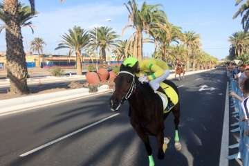 Las carreras de caballos toman la Avenida del Cabildo (TA y Francisco Javier Santana)