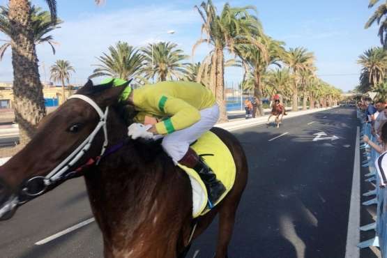 Las carreras de caballos toman la Avenida del Cabildo (TA y Francisco Javier Santana)