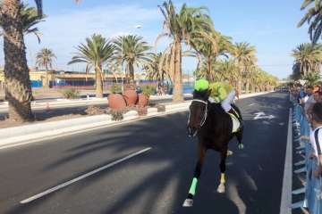 Las carreras de caballos toman la Avenida del Cabildo (TA y Francisco Javier Santana)