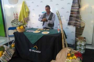 La caña endulza El Mirador y Las Terrazas (Foto TA)