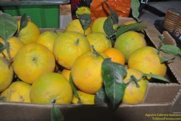 Lomo Catela vive tres días de fiestas por Santa Bárbara (Foto TA, TF y Francisco Javier Santana)