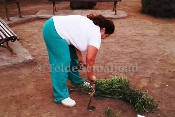 La Garita monta su belén navideño en un espacio ajardinado (Foto TA)