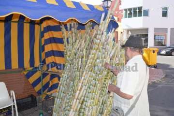 Jinámar celebra el Día del Artesano y el Labrador (Foto TA)