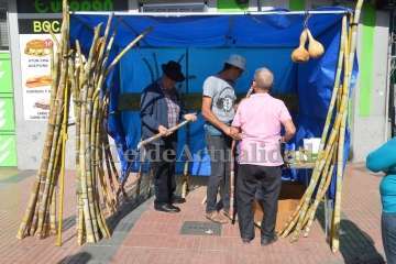 Jinámar celebra el Día del Artesano y el Labrador (Foto TA)