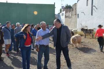 La feria de ganado despega en Jinámar (Foto Antonio Alí y Francisco Javier Santana)