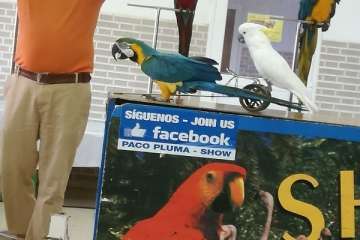 Show de solidaridad en San Juan de Dios (Foto TA)