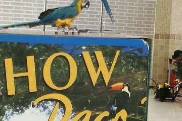 Show de solidaridad en San Juan de Dios (Foto TA)