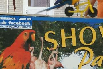 Show de solidaridad en San Juan de Dios (Foto TA)