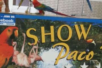 Show de solidaridad en San Juan de Dios (Foto TA)