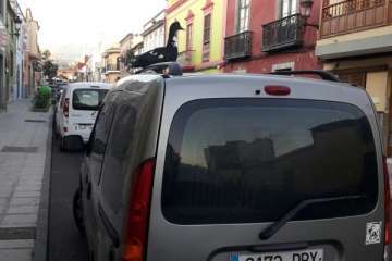 Pato 'urbanita' en Telde (Foto TA)