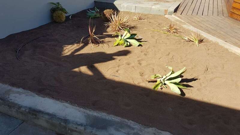 Imagen de los destrozos (Foto TA)