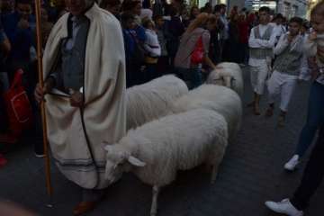 Gran Cabalgata de los Reyes Magos 2018 (Foto F. Javier Santana)