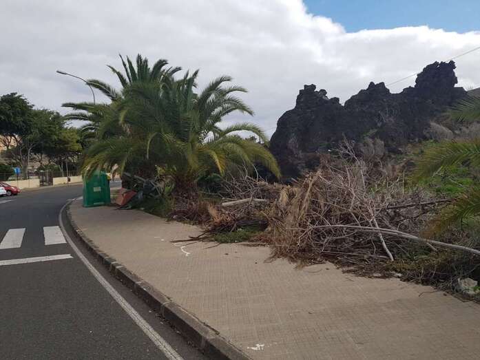 Imagen del mal estado que presentan las zonas verdes de Eucaliptos II (Foto TA)