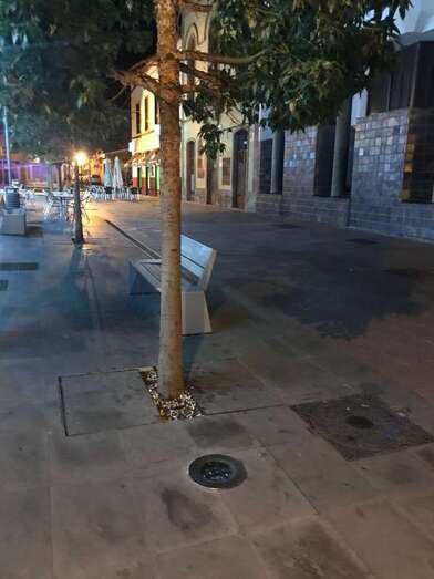 Tramo de la Avenida de la Constitución en Telde con deficiente iluminación (Foto TA)