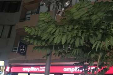 Deficiencias en el alumbrado público de la Avenida de la Constitución de Telde (Foto TA)