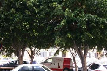 Moscas y suciedad en Salinetas (Foto TA)