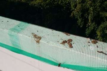 Moscas y suciedad en Salinetas (Foto TA)