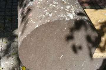 Moscas y suciedad en Salinetas (Foto TA)