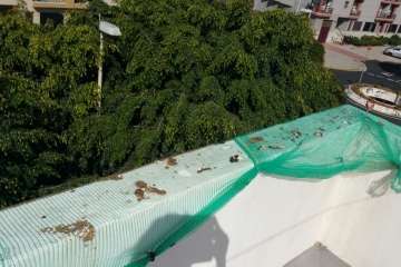 Moscas y suciedad en Salinetas (Foto TA)