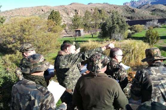 Telde en la 'Operación Gofio IV' (Foto TA)