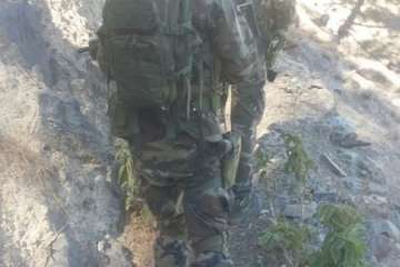 Telde en la 'Operación Gofio IV' (Foto TA)