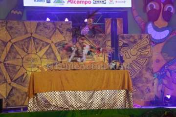 Gala Drag Queen Telde 2018 (Foto TA y Antonio Alí)