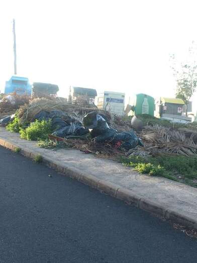 Bolsas con residuos y restos de poda de palmeras en la calle de Salvador Dalí (Foto TA)