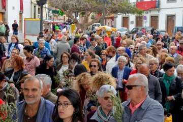 La procesión de La Burrita se abre paso en San Juan (Foto Francisco Javier Santana)