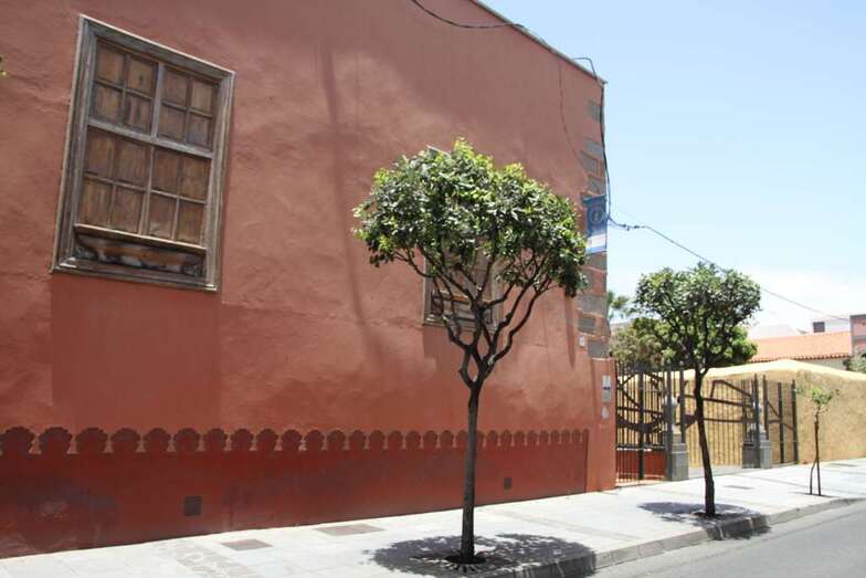 La charla tendrá por escenario la Casa Condal de San Juan (Foto Jesús Ruiz Mesa)