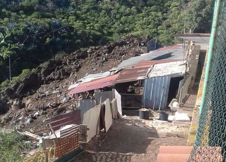 El cobertizo de la granja prácticamente linda con su vivienda (Foto TA)