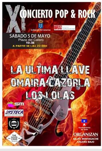 Cartel del XI Concierto de Música Pop-Rock (Foto TA)