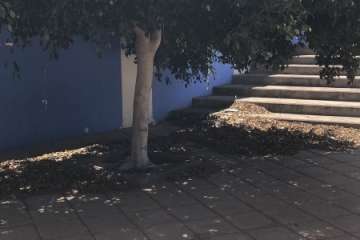 La Pardilla pide más cuidados para la plaza Trece de Enero (Foto TA)