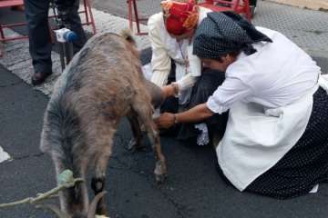 El Roque Azucarero celebra el Día de Canarias en plena calle (Foto Francisco Javier Santana y TA)