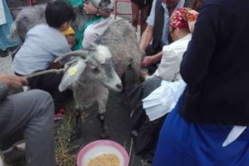 El Roque Azucarero celebra el Día de Canarias en plena calle (Foto Francisco Javier Santana y TA)