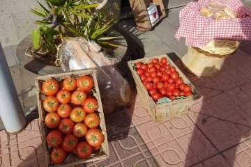 El Roque Azucarero celebra el Día de Canarias en plena calle (Foto Francisco Javier Santana y TA)