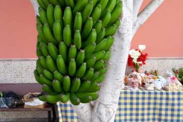 Tenderete callejero en San Antonio Foto TA)