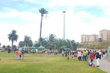 El primer Encuentro Educativo, Lúdico y Deportivo Jinámar en tus manos (Foto TA)