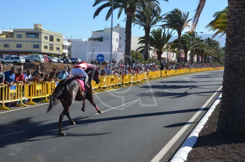 Momento de una de las carreras de esta tarde en Telde (Foto TA)