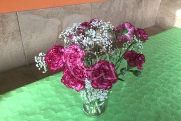 Concurso de platos elaborados y postres caseros en El Caserío de Gando (Foto TA)