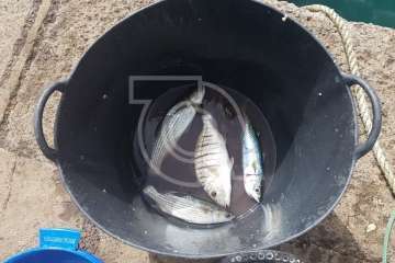 El I Open de Pesca de Caña Popular de Taliarte arranca con problemas (Foto TA)