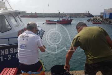 El I Open de Pesca de Caña Popular de Taliarte arranca con problemas (Foto TA)