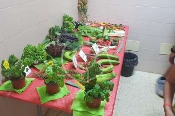 Las Remudas se enorgullece de su Centro de Salud (Foto TA)