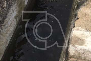 La X Traída Infantil del Agua, en imágenes (II) (Foto TA)