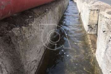 La X Traída Infantil del Agua, en imágenes (II) (Foto TA)