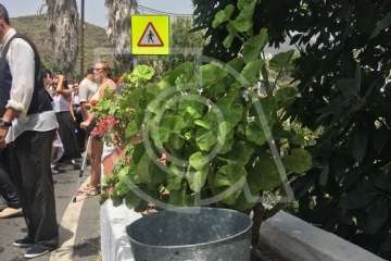 La X Traída Infantil del Agua, en imágenes (II) (Foto TA)