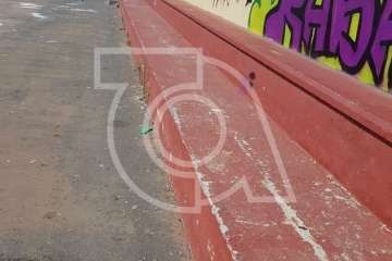 Estado de las canchas de Clavellinas (Foto 1-10), Caserones Altos (Foto 11-27) y Valle de los Nueve Bajo (Foto 28-32)