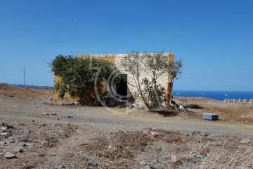  Tres perros llevan varios días encerrados sin agua en una vieja construcción de Caserones Altos (Telde)